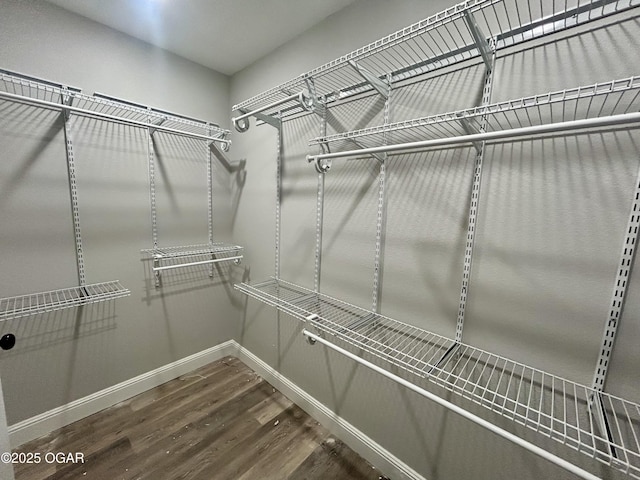 spacious closet with hardwood / wood-style flooring