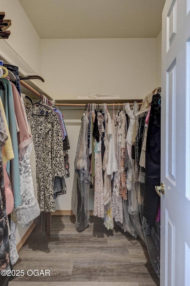 walk in closet featuring wood finished floors