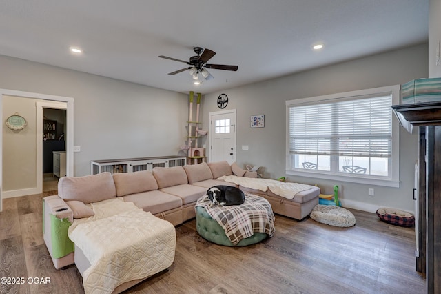 living room featuring ceiling fan and wood-type flooring