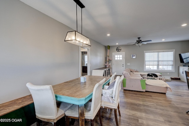 dining area with ceiling fan and wood-type flooring