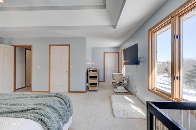 bedroom with carpet floors