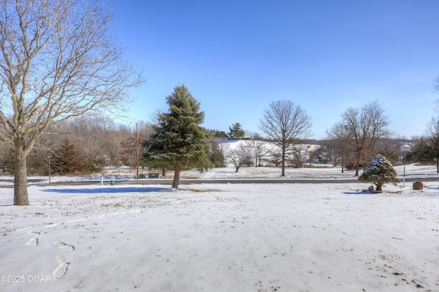 view of snowy yard