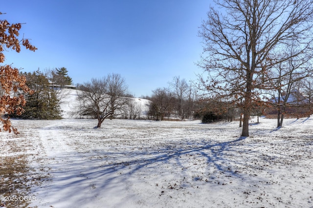 view of snowy yard