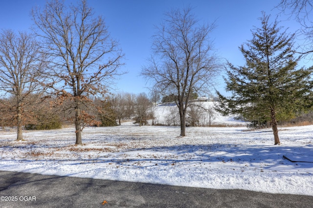 view of snowy yard