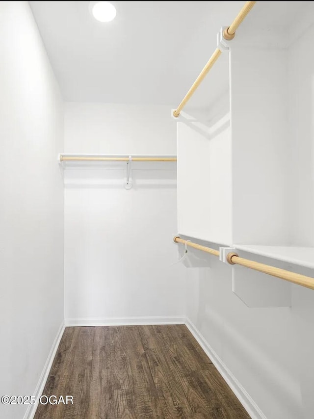 walk in closet with dark wood finished floors