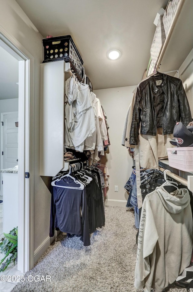 walk in closet with light colored carpet