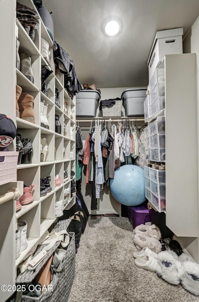 view of spacious closet