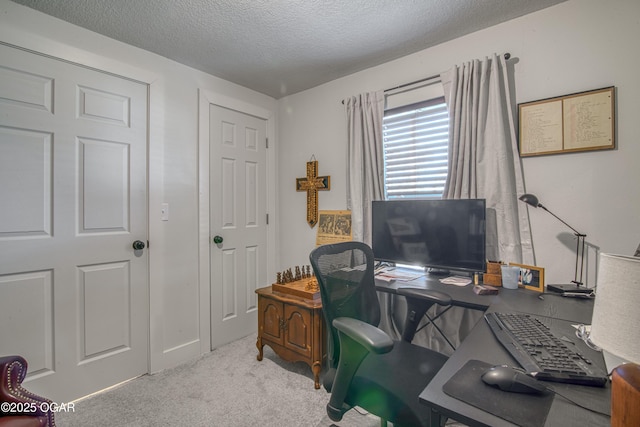 office space featuring light carpet and a textured ceiling