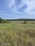 1201 Columbus St, Galena, KS 66739 - photo 5