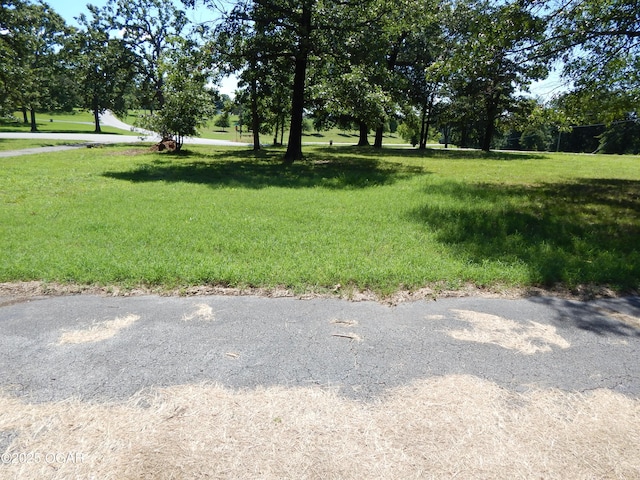 4415 Mcclelland Park Rd, Joplin, MO 64804 - view of grassy yard