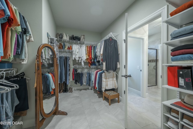 view of spacious closet