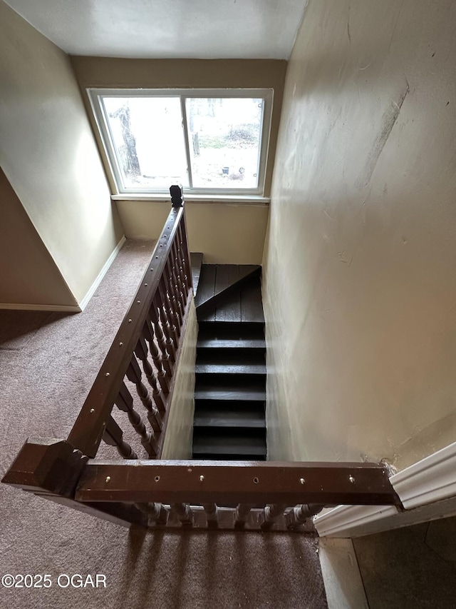 stairs with carpet floors