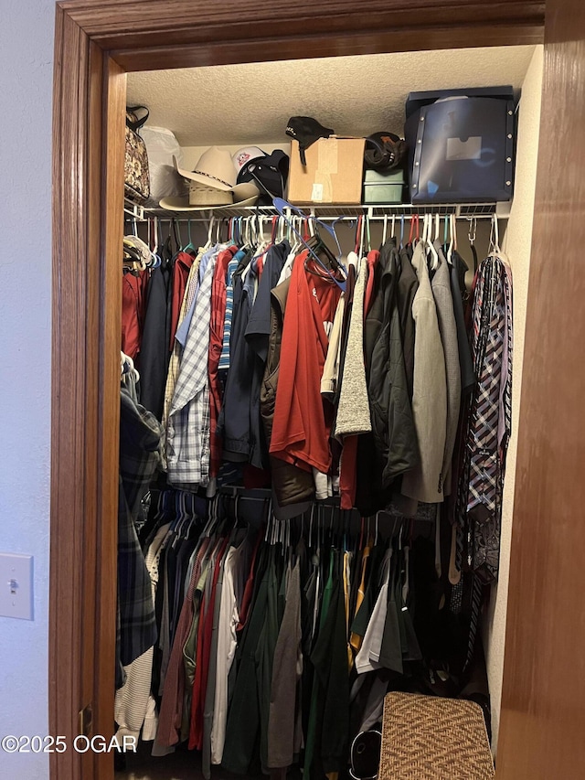 view of closet