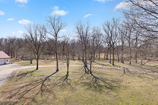 view of yard featuring a garage and dirt driveway