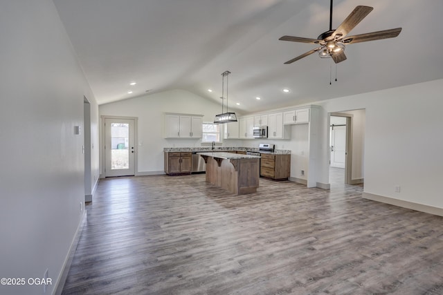 kitchen with stainless steel appliances, a center island, open floor plan, and wood finished floors