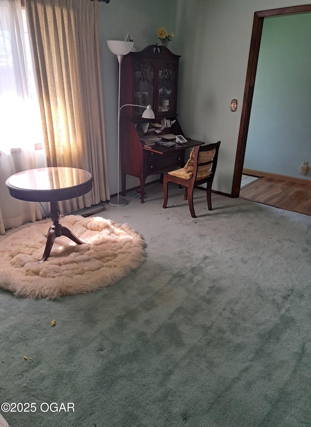 sitting room featuring carpet