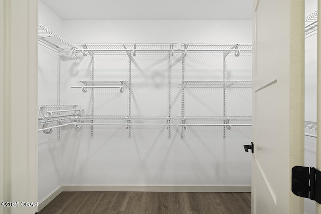 walk in closet featuring dark wood-style floors