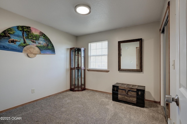 interior space with baseboards and carpet floors