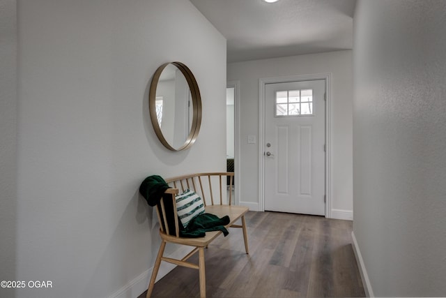 foyer entrance featuring baseboards and wood finished floors