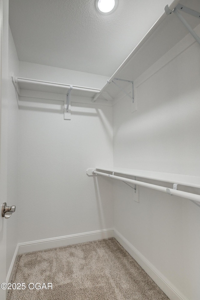 spacious closet with light colored carpet