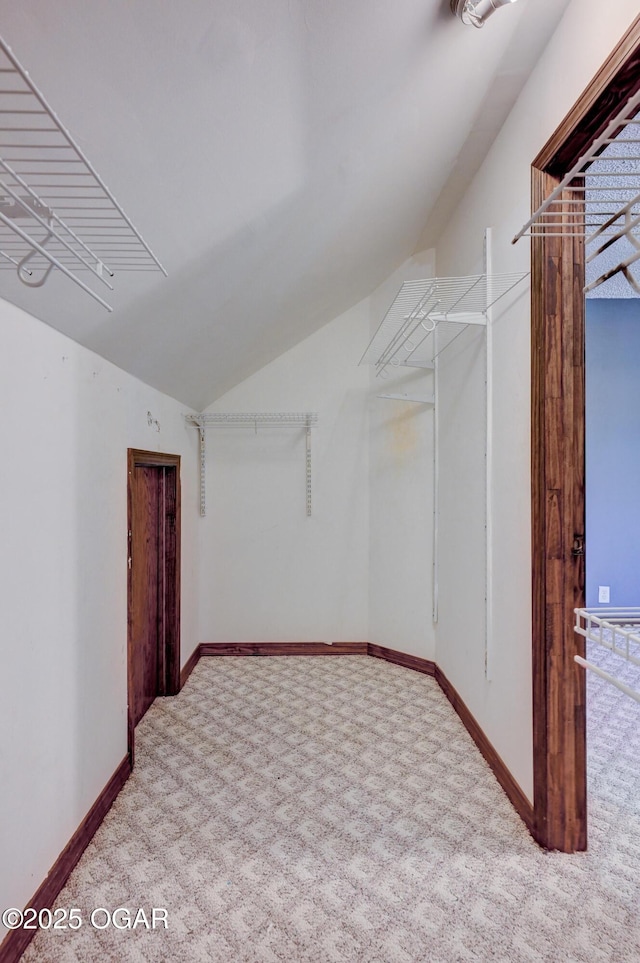 spacious closet with carpet flooring and vaulted ceiling