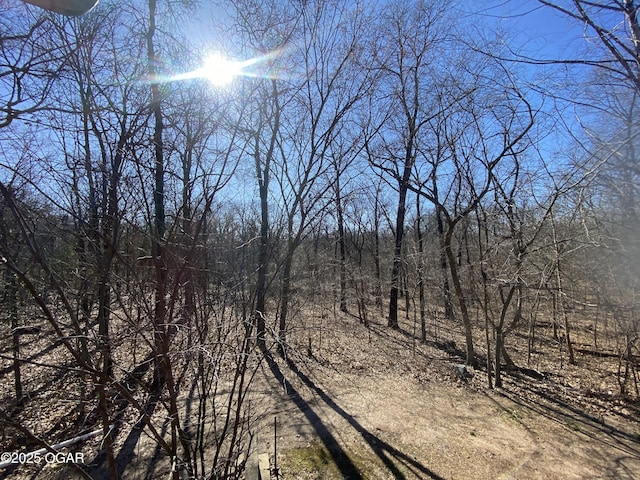 view of local wilderness