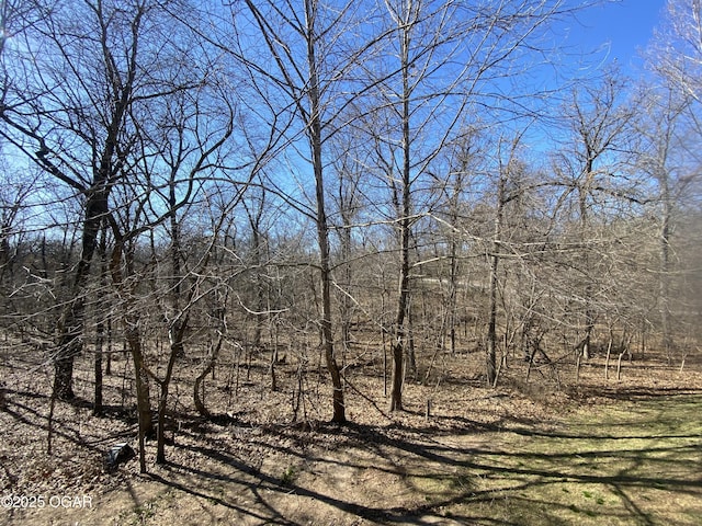 view of local wilderness