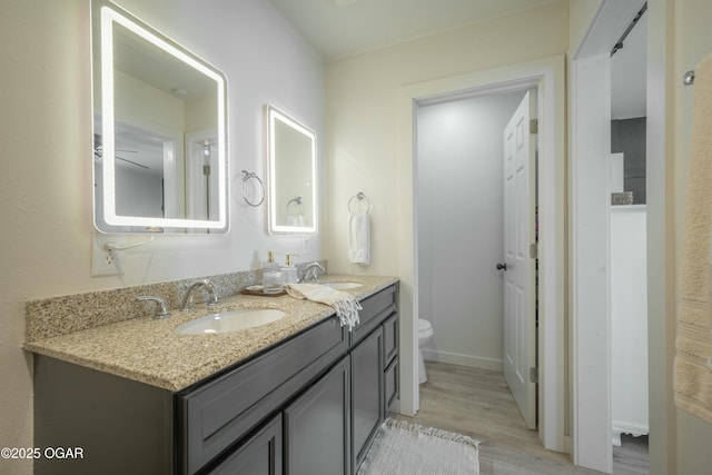 bathroom with a sink, toilet, wood finished floors, and double vanity