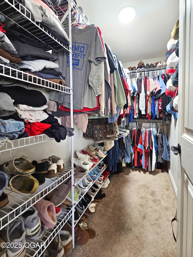 walk in closet with carpet floors