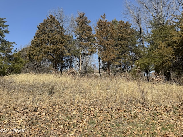 Listing photo 3 for LOT28 Westberry Sq, Joplin MO 64804