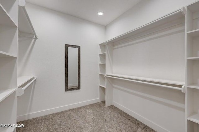 spacious closet with carpet flooring