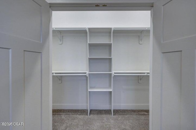 spacious closet with carpet