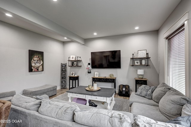 living room featuring wood finished floors and recessed lighting