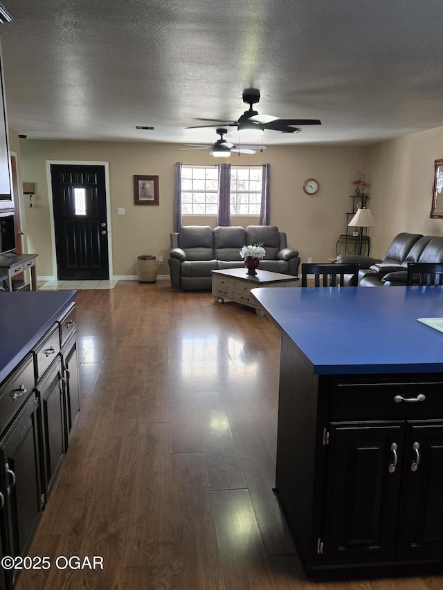 kitchen featuring open floor plan, dark wood-style flooring, a ceiling fan, and dark cabinets