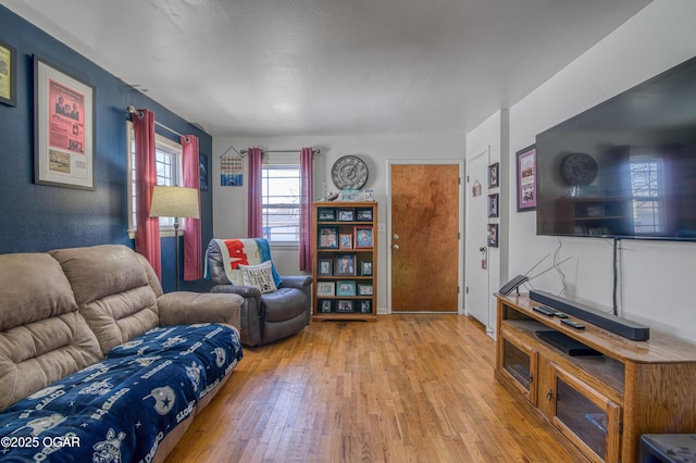 living room with wood-type flooring