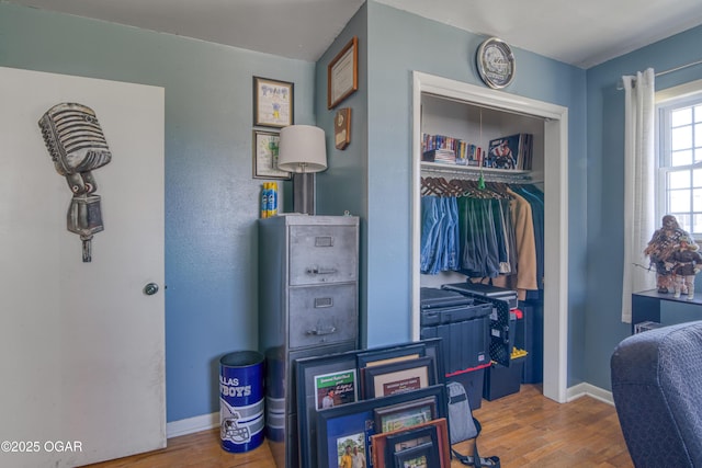 interior space with wood finished floors, a closet, and baseboards