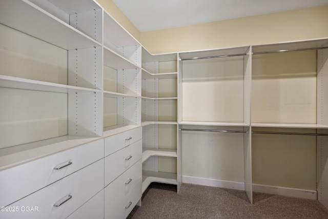 walk in closet featuring carpet