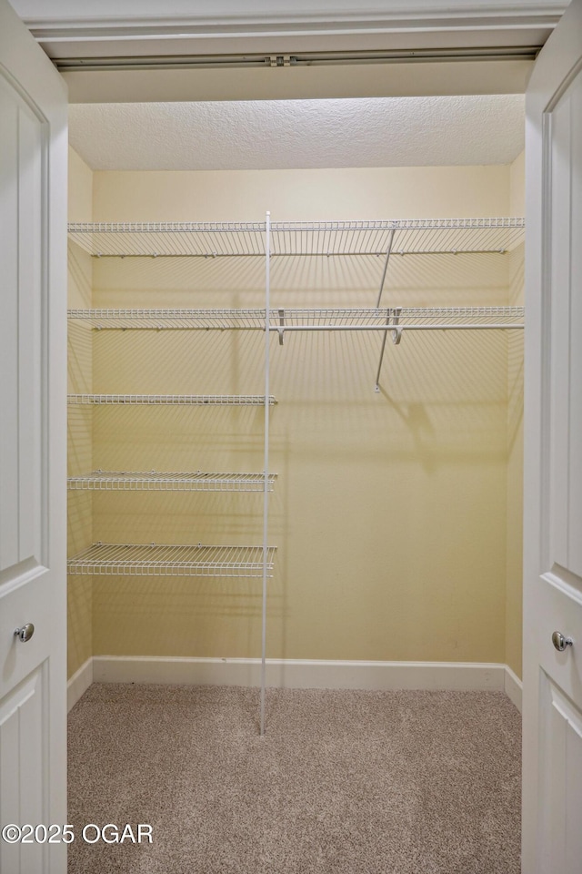 spacious closet with carpet