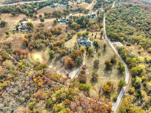 bird's eye view