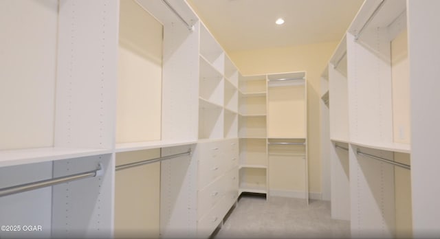 walk in closet with light colored carpet