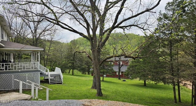 2332 Packet Hollow Rd, Pineville, MO 64856 - view of yard with a view of trees, covered porch, and stairway