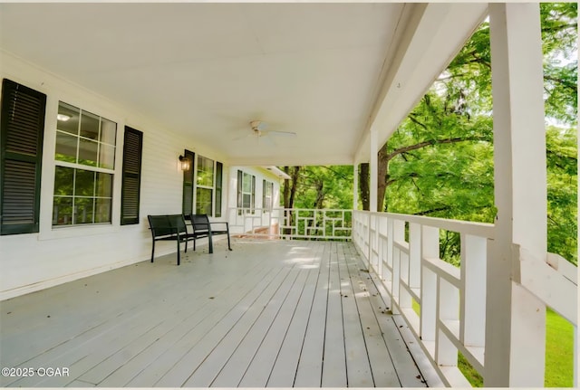 2332 Packet Hollow Rd, Pineville, MO 64856 - photo 3