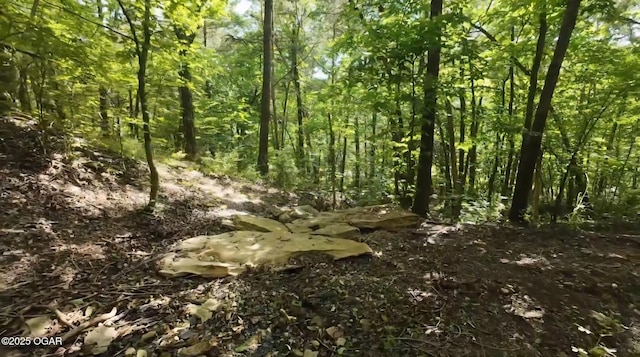 2332 Packet Hollow Rd, Pineville, MO 64856 - photo 77