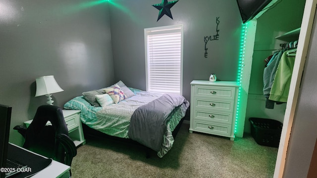 bedroom featuring multiple windows