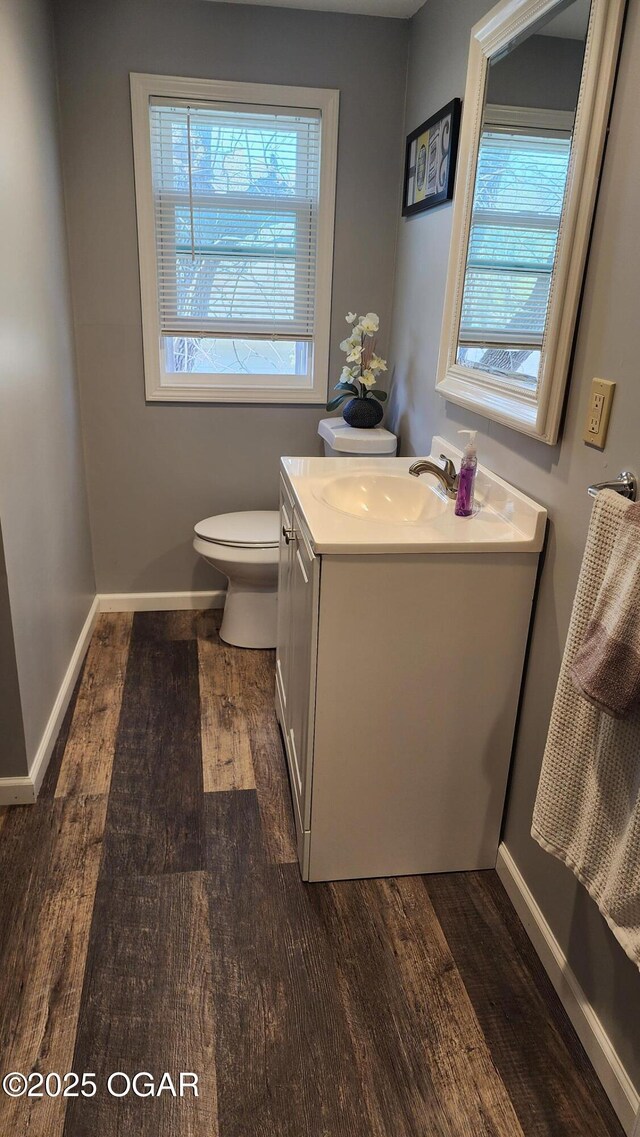 bathroom featuring baseboards, a wealth of natural light, wood finished floors, and vanity