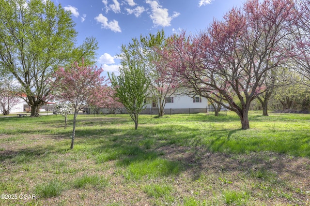 24600 State Highway 96, Webb City, MO 64870 - view of yard with fence