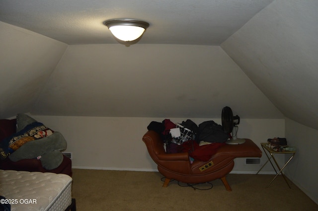 additional living space featuring carpet, baseboards, and vaulted ceiling