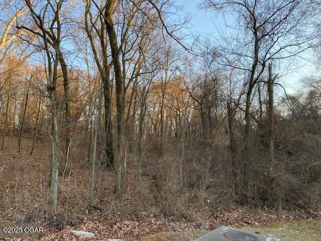 XX N Ozark Ave Unit 15/16, Joplin, MO 64801