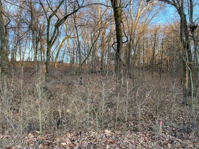 XX N Ozark Ave Unit 15/16, Joplin, MO 64801