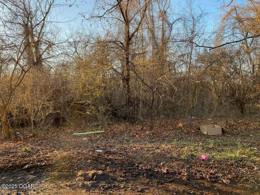 XX N Ozark Ave Unit 15/16, Joplin, MO 64801